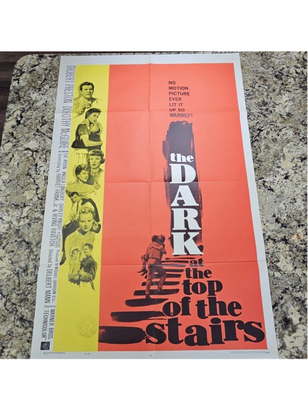 1960 The Dark at the Top of the Stairs Movie Poster 1 Sheet Warner Bros 60/280